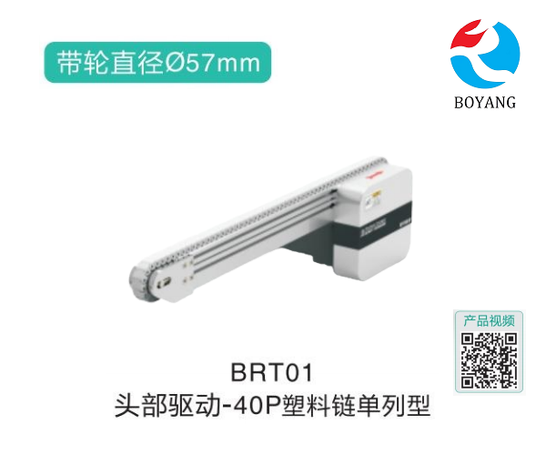 皮帶輸送機(jī)BRT01頭部驅(qū)動塑料鏈單列型